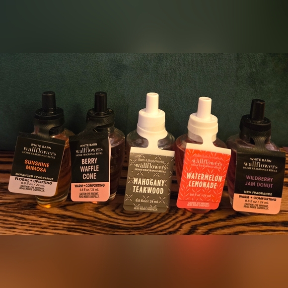 NWT Scent Control Succulent Wallflower Plug Bath and Body Works + Free Scent - Picture 9 of 9